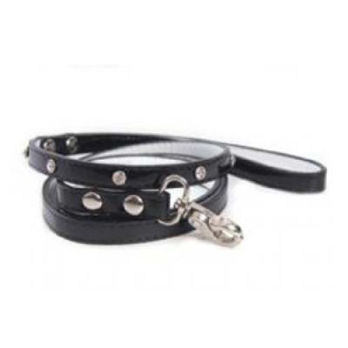 Dog Leads